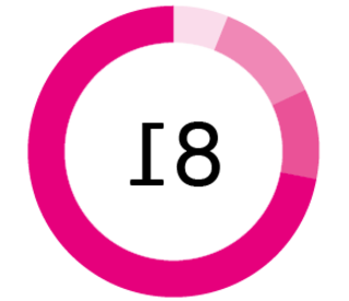 生命周期管理项目 pie chart